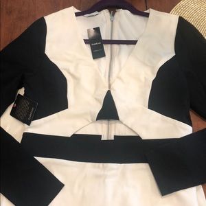 Brand New! Bebe Tamara Colorblock Dress